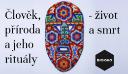 oko oko